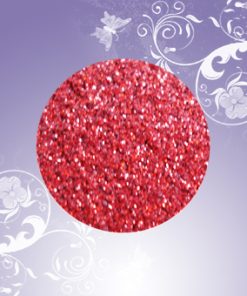 Glitter Puder  Nr.11