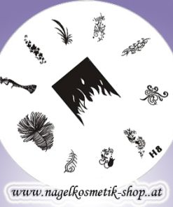 Nail Art Stamping Schablone H 8