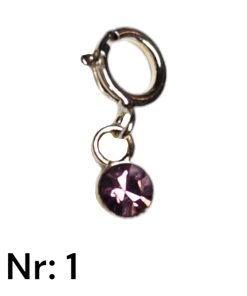 Piercing mit Karabiner -Nr: 1